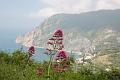 Ligurien-Cinque Terre  42